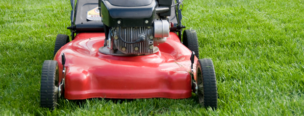 Lawn Care, West Chester, PA